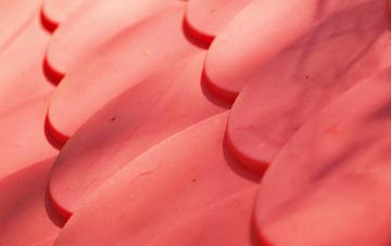 Timberland plastic roof costs