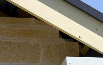 soffit repair Timberland