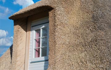 Timberland thatch roof disadvantages