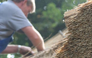 professional Timberland thatchers